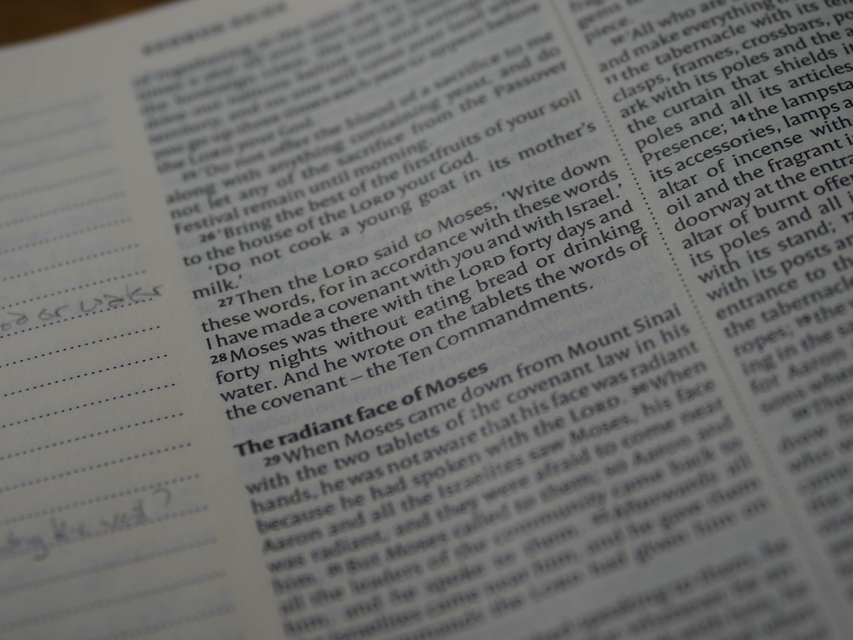 4th Sunday in Ordinary Time 2026 (Year A)